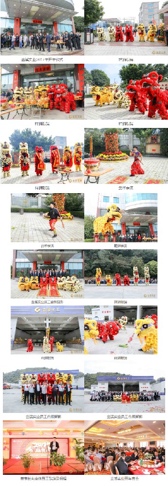 金溪实业2017年丁酉鸡年开年仪式