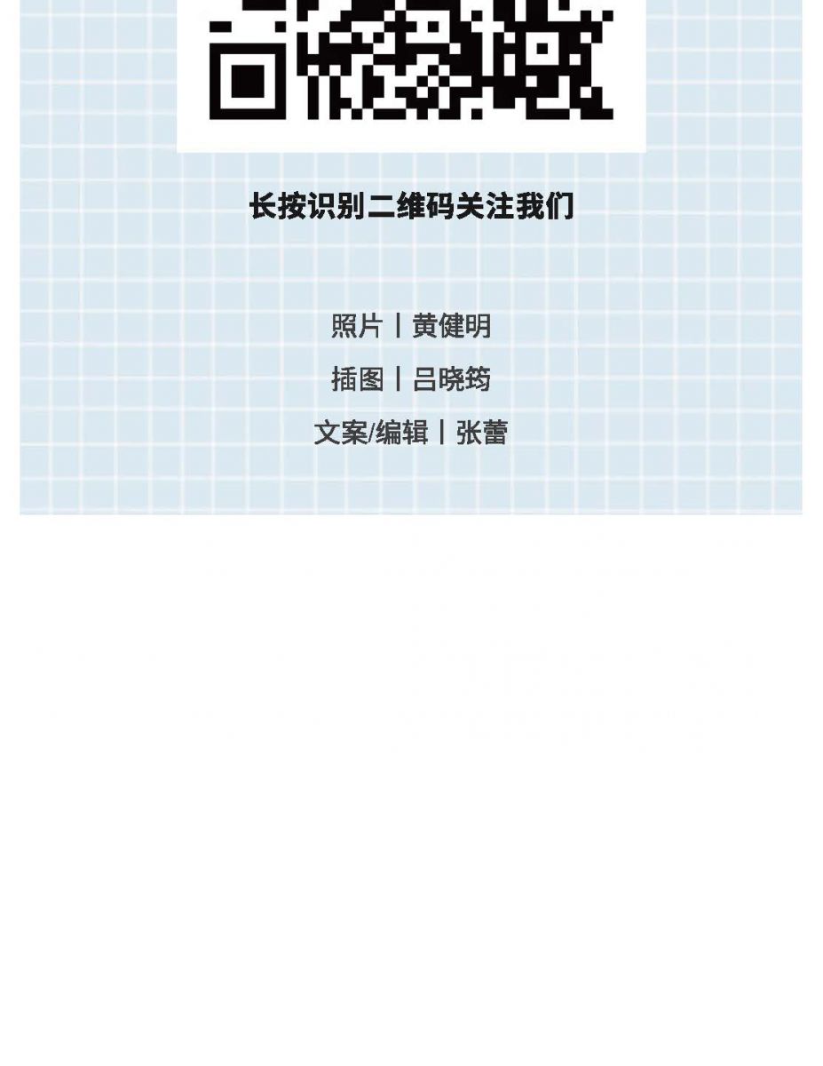 @金溪人，谁“羽”争锋！